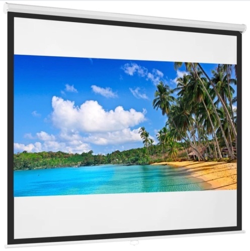 Diagonal 1:1 HD Pull-Down Manual Projector Screen - 119in - Lot 702