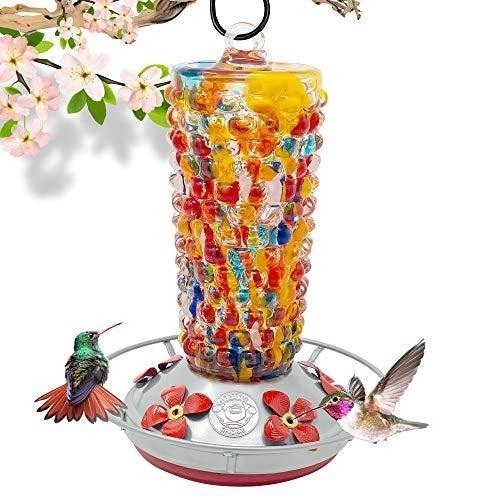 Grateful Gnome Hand Blown Glass Hummingbird Feeder - Lot 206