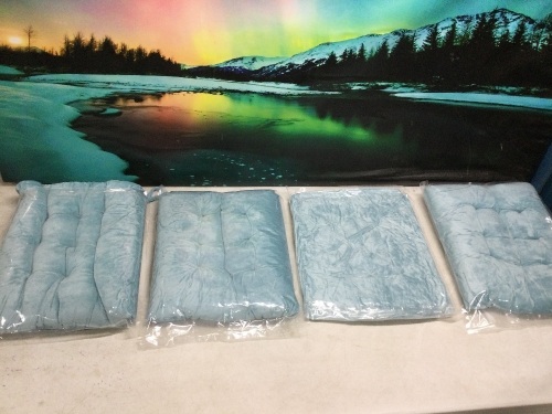 Lot of (4) Wonder Miracle Chair Pads - Lot 1168
