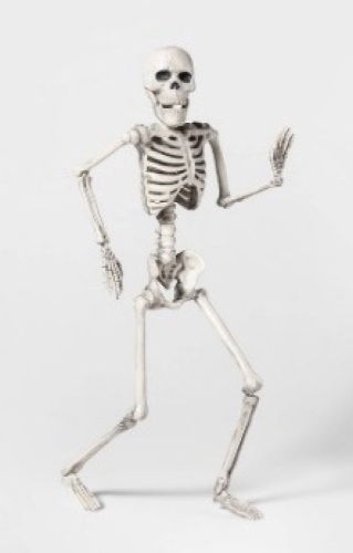 Posable Skeleton Hanging Halloween Décor Sm by Hyde & EEK! Boutique - Lot 246
