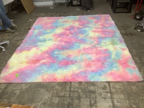 9.5x8ft Rainbow Shag Rug - Lot 1288