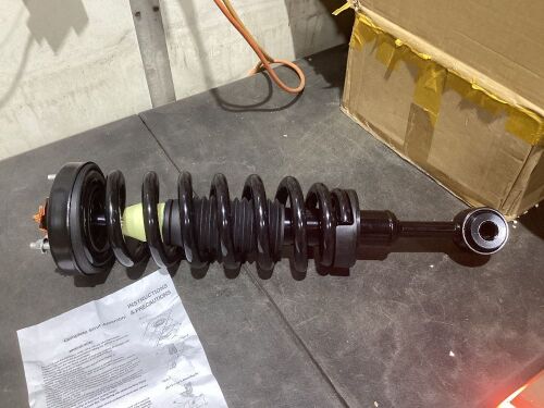 Complete Strut Assembly, Unknown Fit  - Lot 248