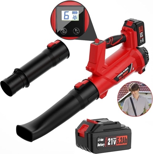Dragro Cordless Leaf Blower 21V - Lot 72