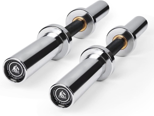 LIONSCOOL Loadable Dumbbell Pair with 4 Clamps - Lot 50