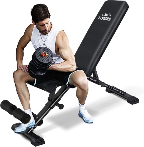 FLYBIRD Weight Bench - Lot 1076