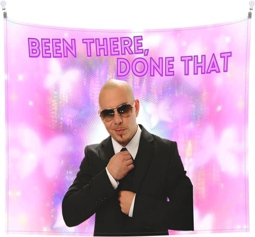 Mr. Worldwide, Been There, Done That Tapestry - Lot 230