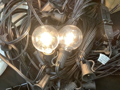 Indoor/ Outdoor String Lights - Lot 600