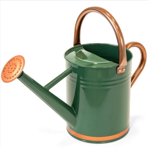 1-Gallon Galvanized Steel Watering Can w/ O-Ring, Top Handle - Lot 564