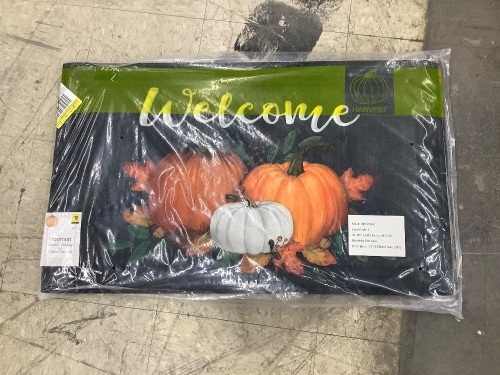 Box of 4 Pumpkin Welcome Mats - Lot 403