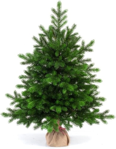 eveXmas Traditional Artificial Christmas Tree, 3ft - Lot 430