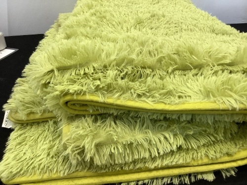 5'x7' Shag Rug - Lot 135