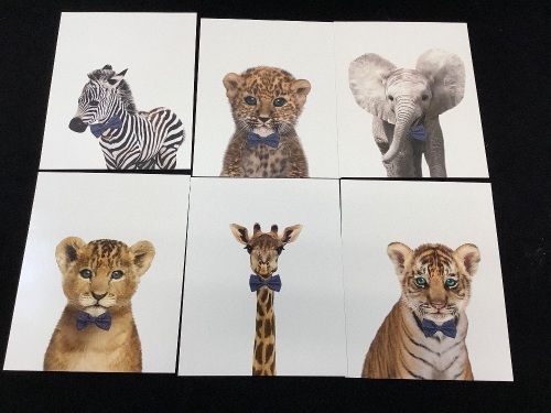 Safari Bow Ties Baby Animals 8x10 Wall Prints, Set of 6 - Lot 167