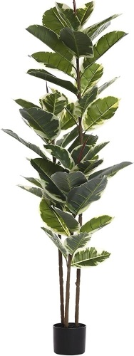Artificial Rubber Tree Plant - Lot 141