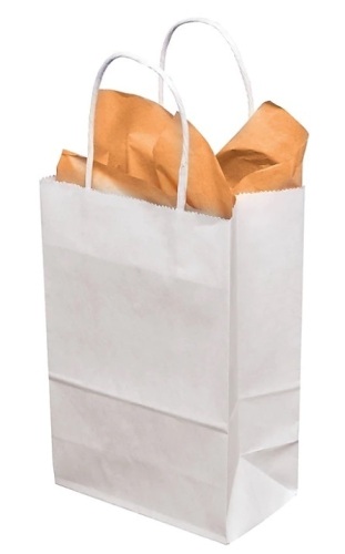 Case of 250 Staples 8" x 4 1/2" x 10 1/2" Paper Bags - Lot 481
