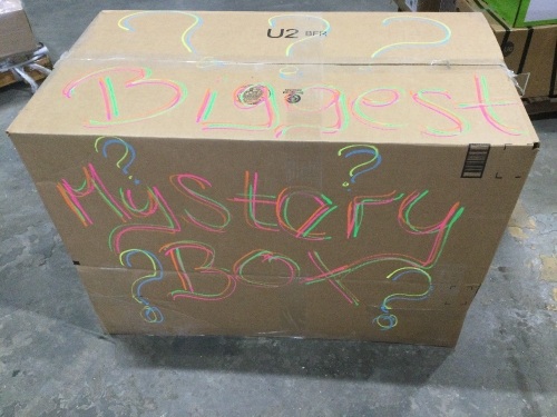 BIGGEST Mystery Box! Packed Full of Mostly New Small Items! - Lot 86