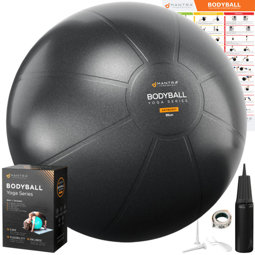 EXERCISE BALL CHAIR - Lot 3866