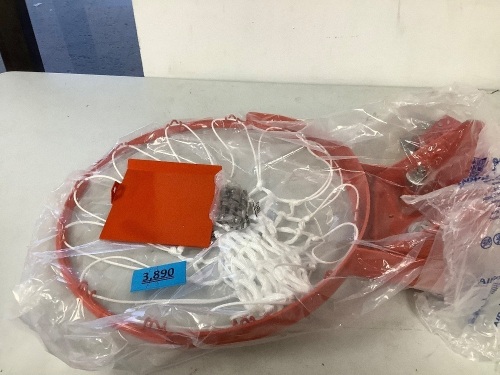 Basketball Hoop Brand Unknown - Lot 3890