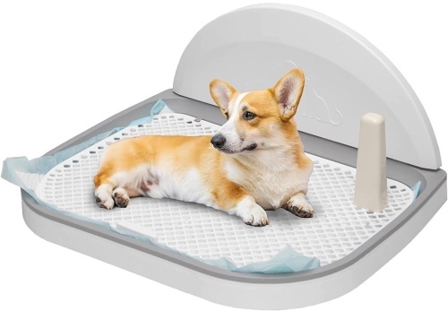 Puppy Dog Potty Tray - Pee Pad Holder - Lot 508