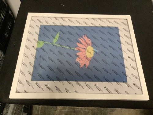 16x20 Picture Frame - Lot 541