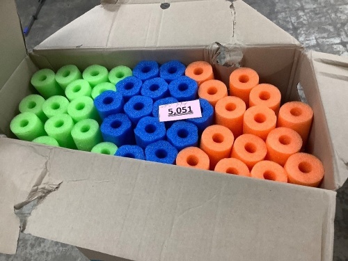 Pool Noodles - Lot 5051