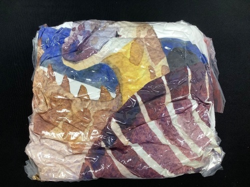 Dinosaur Bedding Duvet Cover Set w/ 1 Quilt Cover, 2 Pillowcases - Lot 156