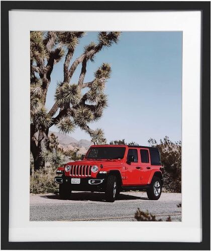 skyDrama Black Wooden 20x24 Picture Frame with Tempered Glass  - Lot 421
