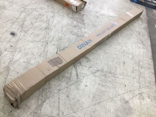 Dinah Motorized Projection Screen  - Lot 334