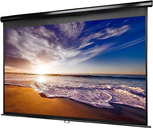 Delux Screens Tripod Projection Screen 100" 16:9  - Lot 850