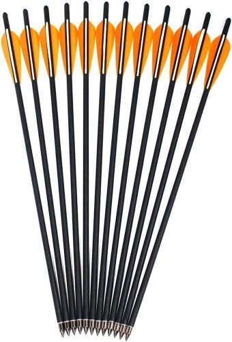 Kikzok 12 Pack Crossbow Bolts Carbon Arrows, 16 Inch  - Lot 428
