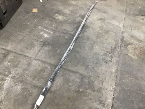 Lunge Whip  - Lot 389