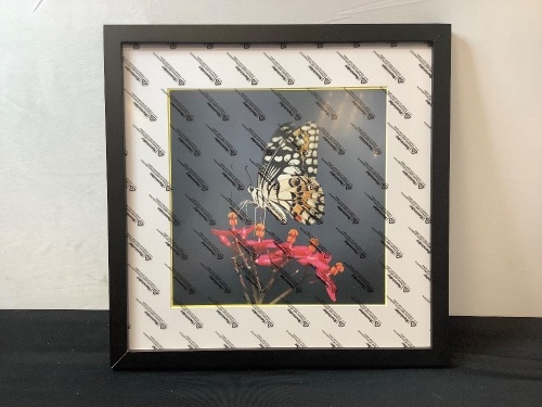 Set of 2 Solid Black Picture Frame 14"x14" - Lot 255