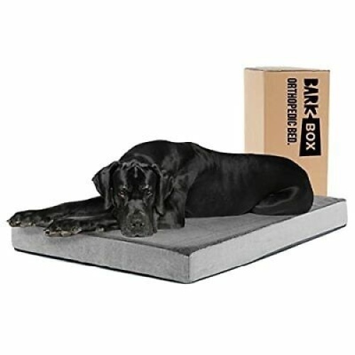 Barkbox Memory Orthopedic Foam Platform Dog Bed  - Lot 439