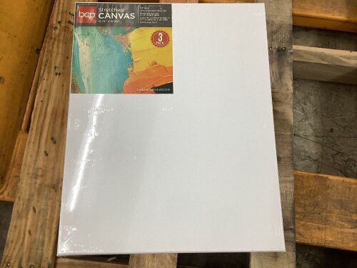 3 Pack Stretched Canvas 15.75" x 19.70"  - Lot 747