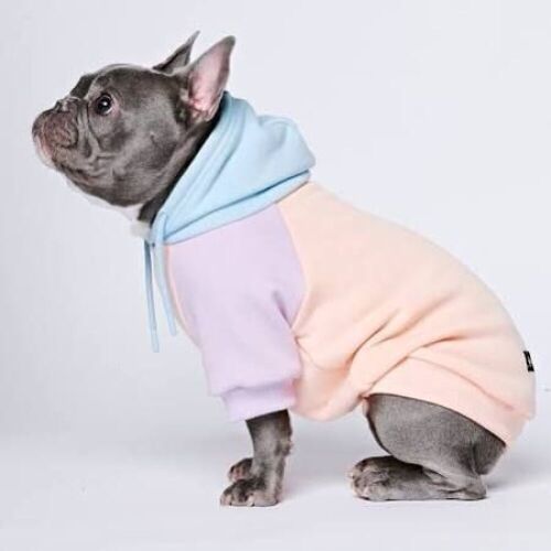 Lot of (3) Spark Paws Cotton Candy Dog Hoodies - Lot 134