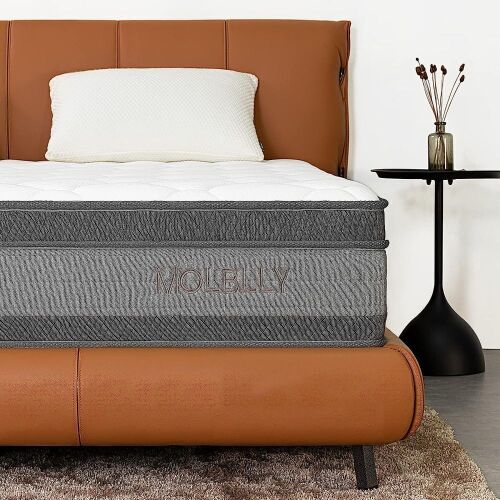 MOLBLLY 10 Inch Cooling-Gel Memory Foam and Individually Pocket Innerspring Hybrid Mattress, Queen  - Lot 865