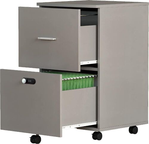 Koifuxii 2 Drawer File Cabinet with Lock - Lot 849