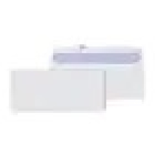 Staples EasyClose Security Tinted #10 Business Envelopes - Lot 6585