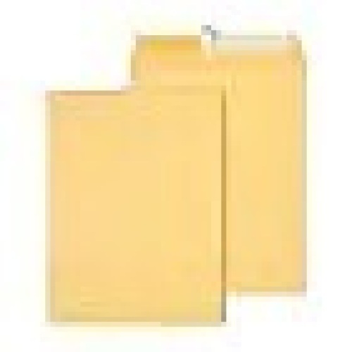 Staples EasyClose Catalog Envelopes, 9"L x 12"H, Brown, 100/Box - Lot 6601