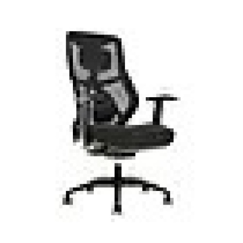 Beautyrest Duo-EX Ergonomic Mesh Swivel Task Chair, Black/Gray - Lot 6610