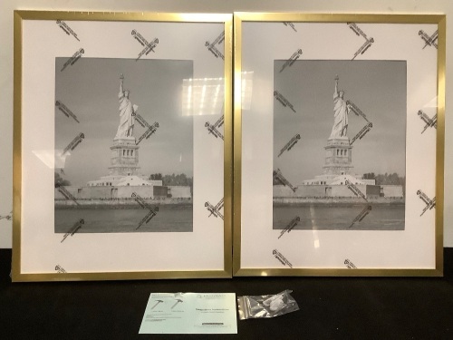 Two 16"x20" Golden Picture Frames - Lot 168