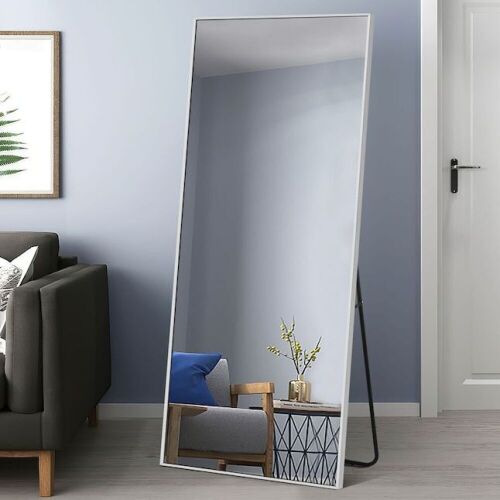 NeuType 21.26-in W x 64.17-in H Silver Framed Full Length Wall Mirror - Lot 264