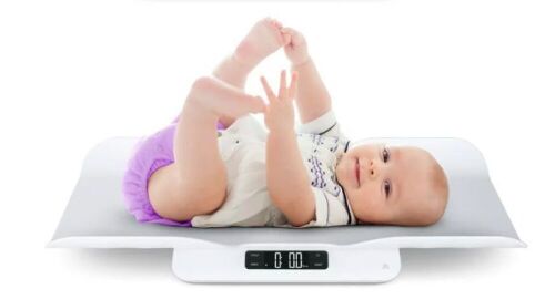 Greater Goods Digital Baby Scale - Lot 398