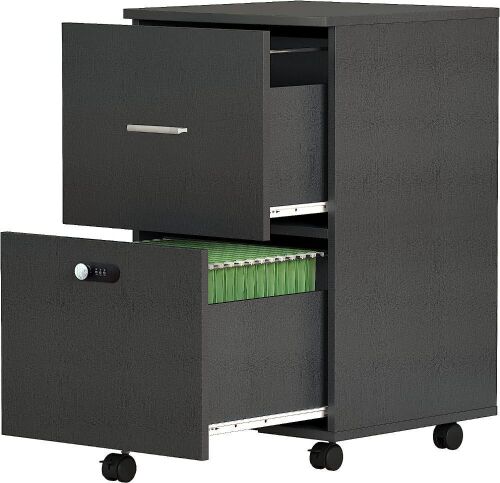 Koifuxii 2 Drawer File Cabinet with Lock - Lot 698