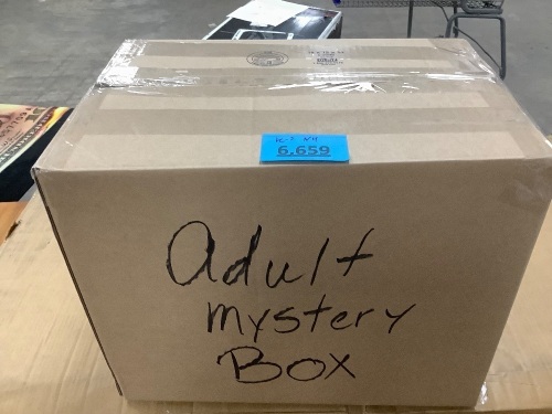 Adult Mystery Box - Lot 6659