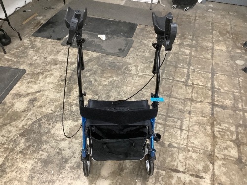 Blue Walker With Armrest - Lot 6681