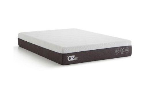 Dr Oz Queen 12" Plush Hybrid Mattress  - Lot 30