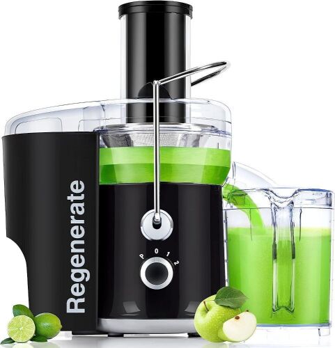Regenerate Centrifugal Juice Extractor with Big Mouth 3” Feed Chute - Lot 846