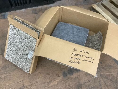 Lot of (30) 16" x 16" Carpet Squares & Some Smaller Pieces - Lot 578