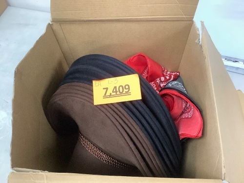 Cowboy Hats & Bandanas - Lot 7409