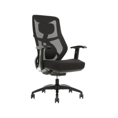 Beautyrest Duo-EX Ergonomic Mesh Swivel Task Chair - Lot 7325